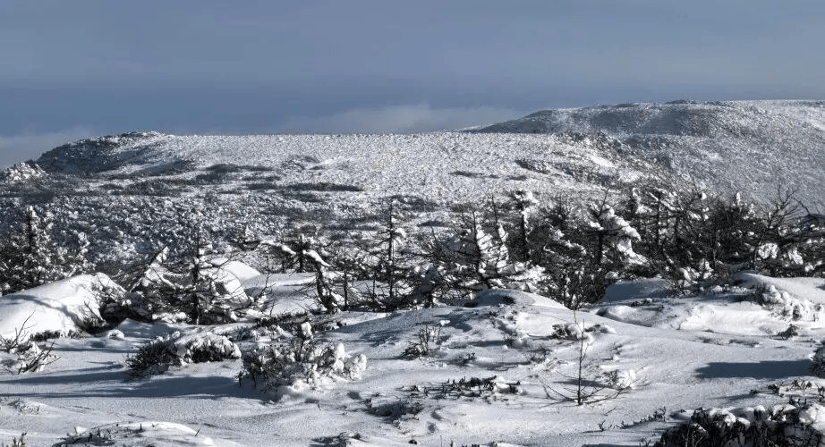 步事故频发请接收这份安全指南！AG真人国际【应急科普】户外徒(图2)