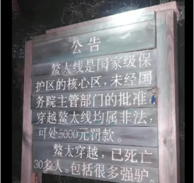 步事故频发请接收这份安全指南！AG真人国际【应急科普】户外徒(图4)