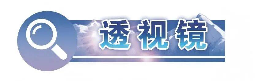 心某旅组织野外实战化训练见闻AG真人旗舰